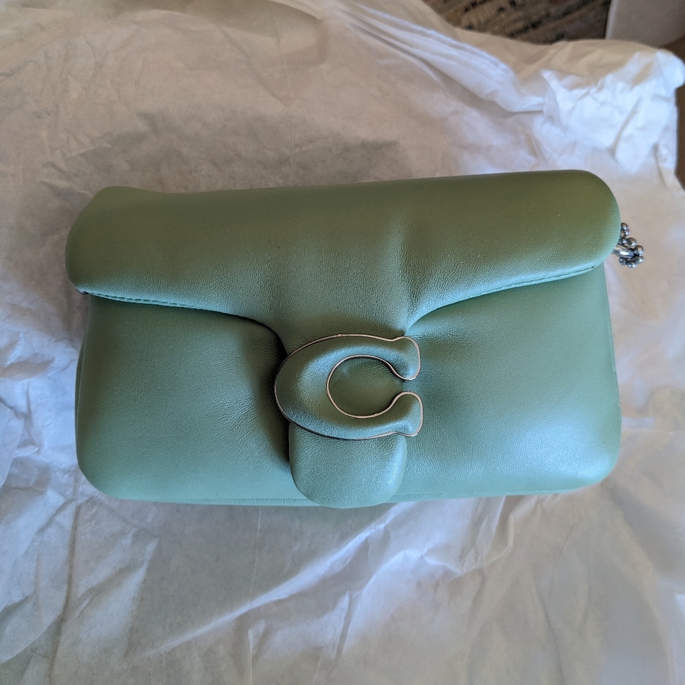 Coach Pillow Tabby 18